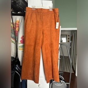 *NWT* Ann Taylor Factory Burnt Orange Pant, Size 8